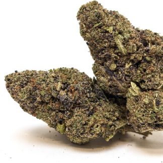 SNOW OG PREMIUM ++