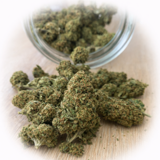 DR. GRINSPOON 30% B30