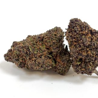 BLUE GELATO INDOOR