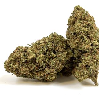 TROPICAL HAZE GLASSHOUSS