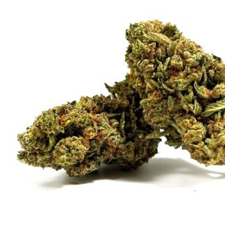 LEMON CANDY INDOOR PREMIMUM +