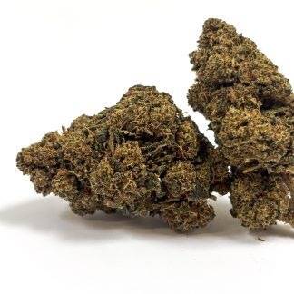 GELATO 41 30% BOOSTEE